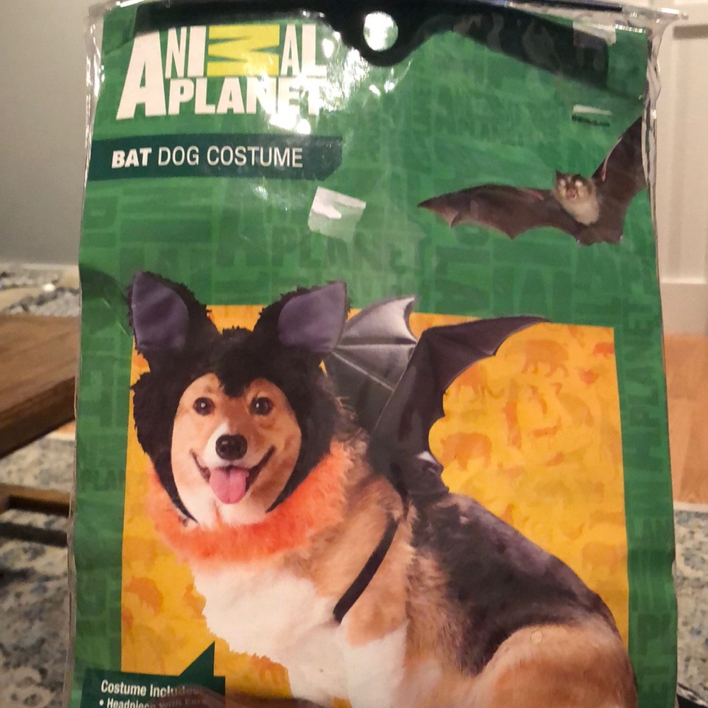 Animal planet DOG costume-  Bat Dog.                 Size:   sMALL.  New in bag